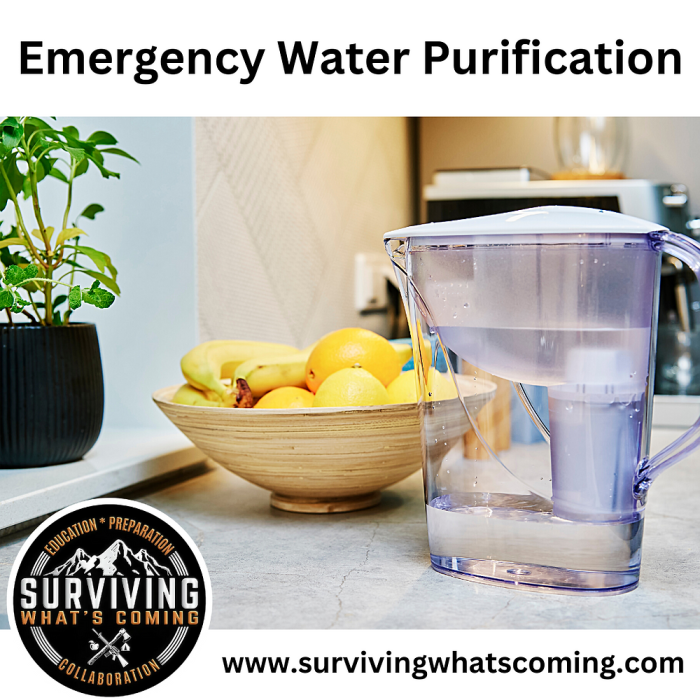 Water bottle purify plastic survival purification