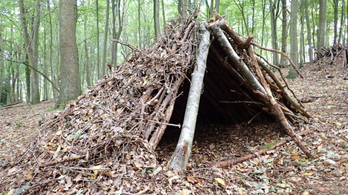 Cara Membuat Shelter Sederhana di Tengah Hutan