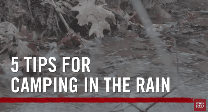 Driving rainy season during tips safe