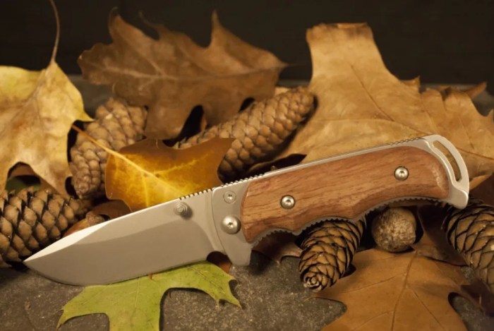 Survival knife beginners pick