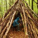 Shelter survival shelters building natural forest wooden materials temporary lord making flies grid off tent wilderness ideas nearly nothing tree