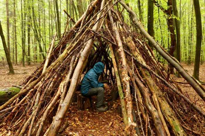 Shelter survival shelters building natural forest wooden materials temporary lord making flies grid off tent wilderness ideas nearly nothing tree