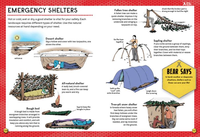 Survival tips die not know must skills prepping prepper food popularmechanics life camping staying alive storage hacks gear article shtfpreparedness