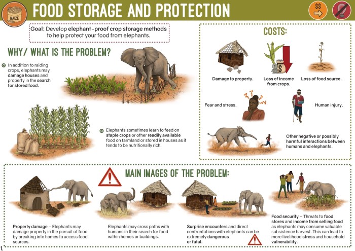 Wildlife save help infographic world share day tweet