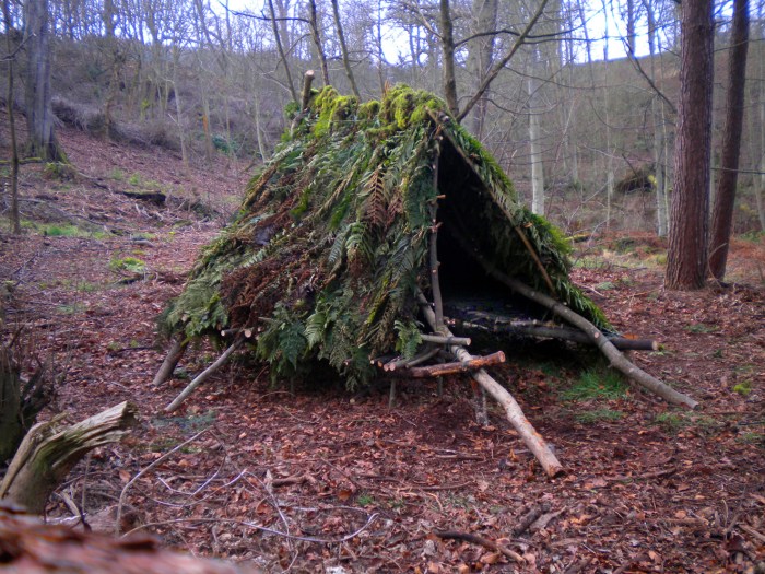 Shelter survival tipi build made designs teepee tree wilderness simple branches against